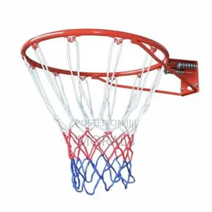 Basketball Hoop With Professional Basketball