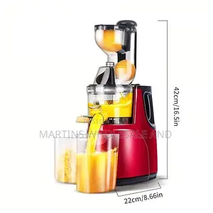 Sokany Masticating Slow Juicer.