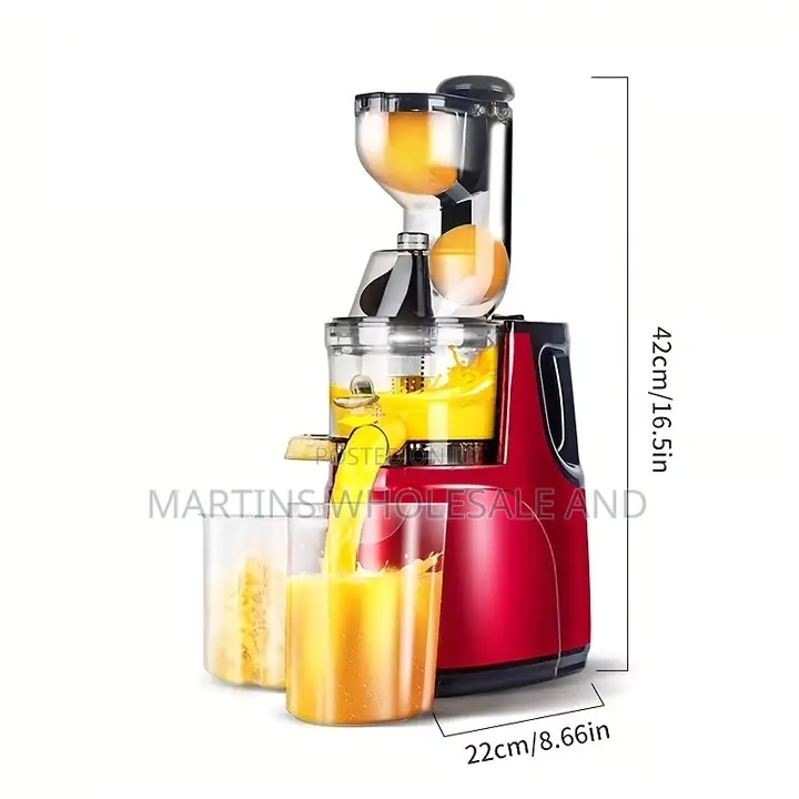 Sokany Masticating Slow Juicer.