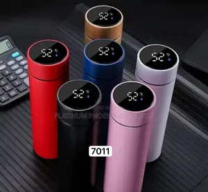500ml Temperature Water Flask