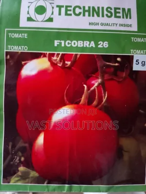 Cobra 26 Tomato Seeds (5g)