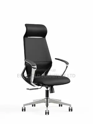 Egonomic Chair