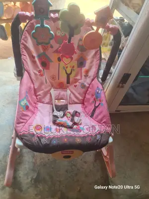 Baby Bouncer
