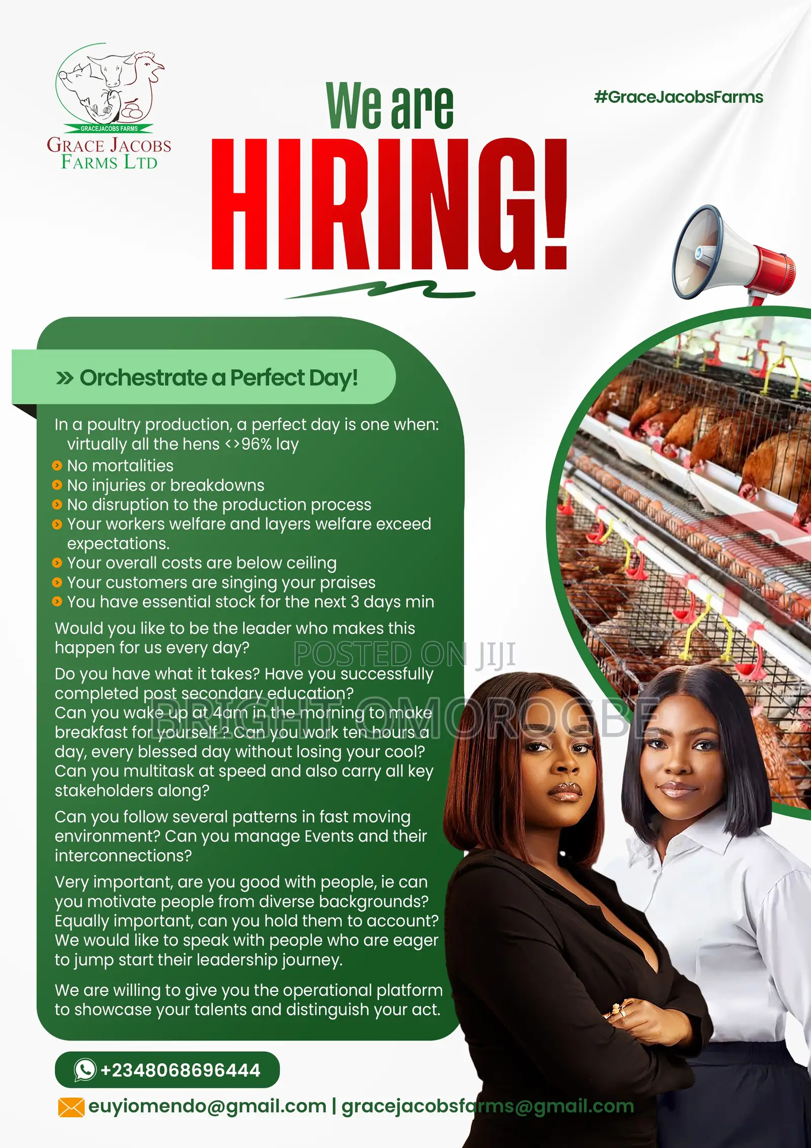 Graphics Design