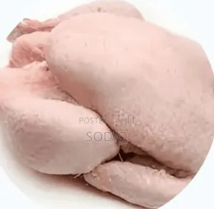 Frozen Food