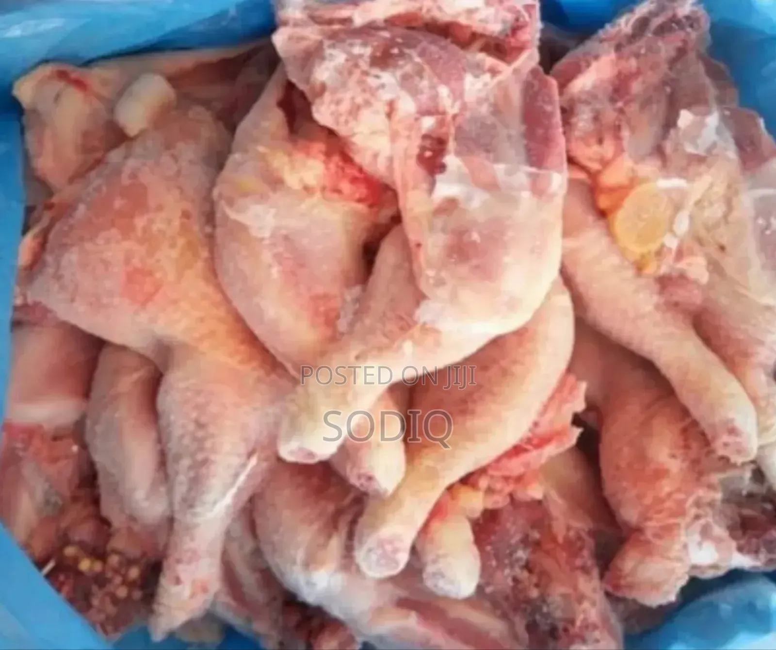 Frozen Food