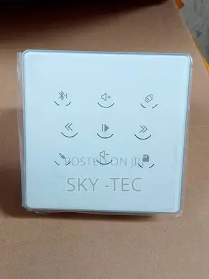 Original Sky-Tec 4inches 100watts Soft Touch Bluetooth,Usb Wall Amp