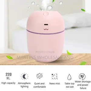 Portable Usb Mini Cool Mist Humidifier.