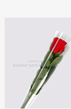 Single Rose