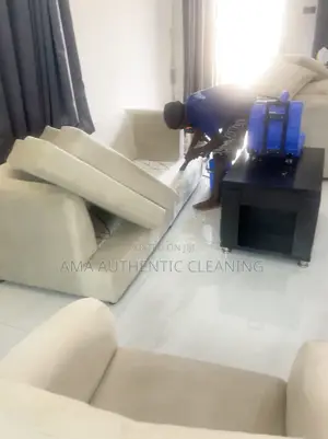 Upholstery Cleaning Service