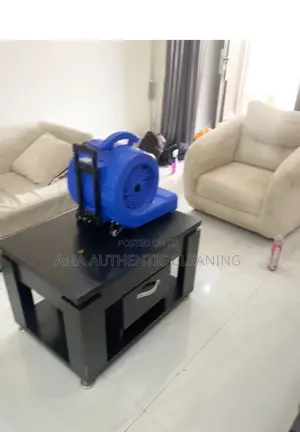 Upholstery Cleaning Service
