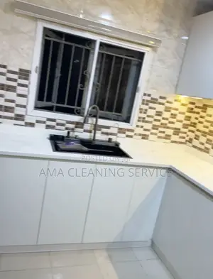Move in Cleaning Service