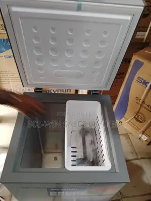 Skyrun Deep Freezer 100liters