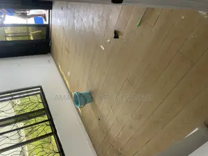 Professional Cleaning Services