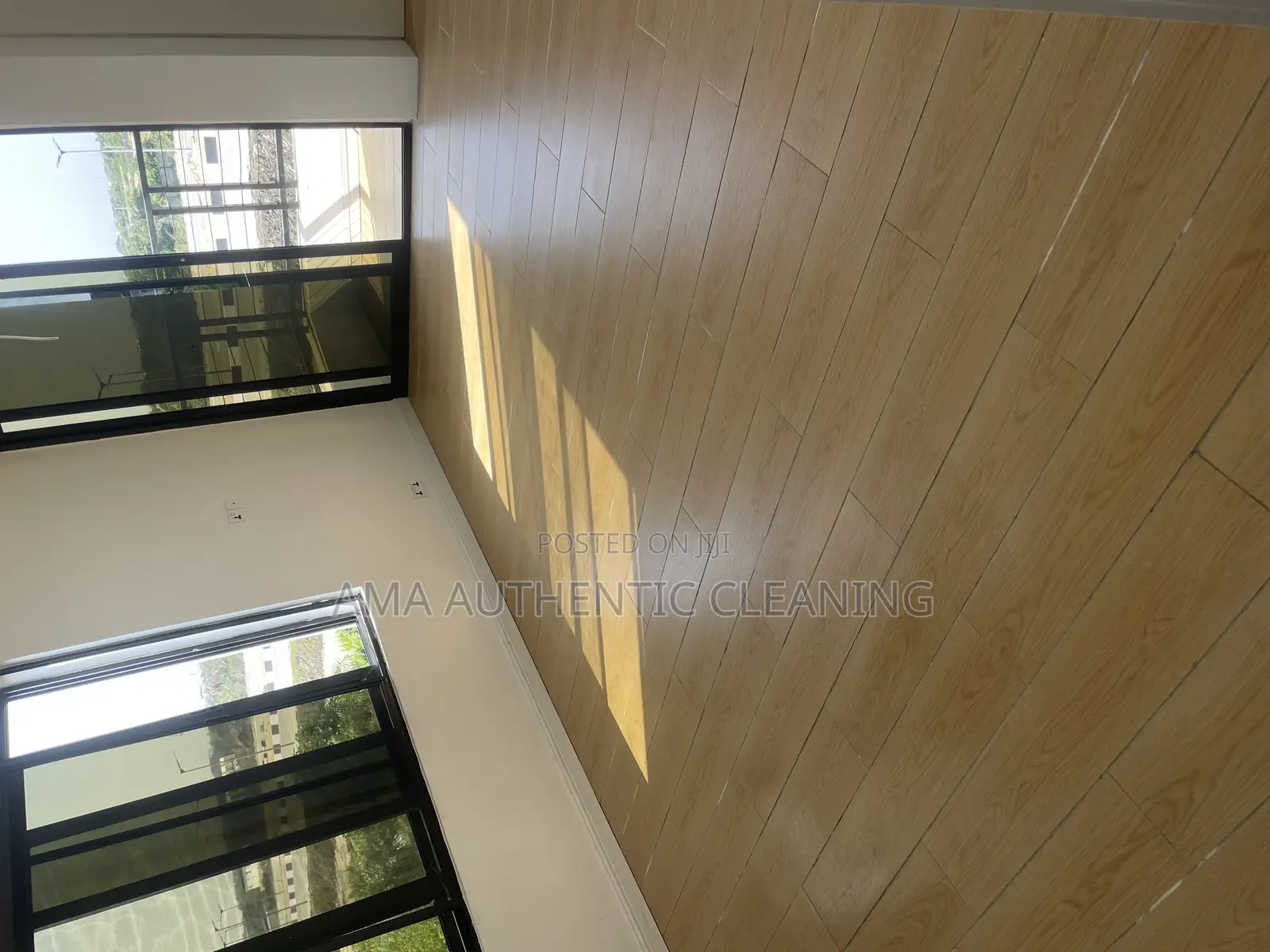Professional Cleaning Services