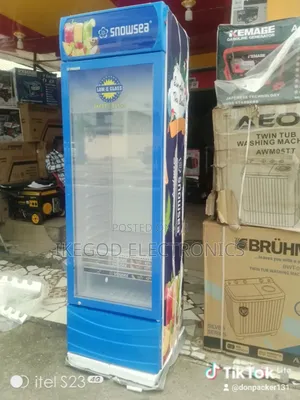 Snowsea Upright Cooler Bd400w