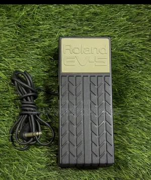 Roland Ev-5 Sustain Pedal