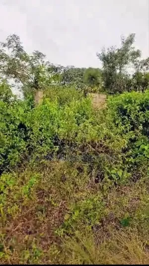 2plots of Land for Sale