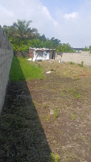 Half Plot of Land
