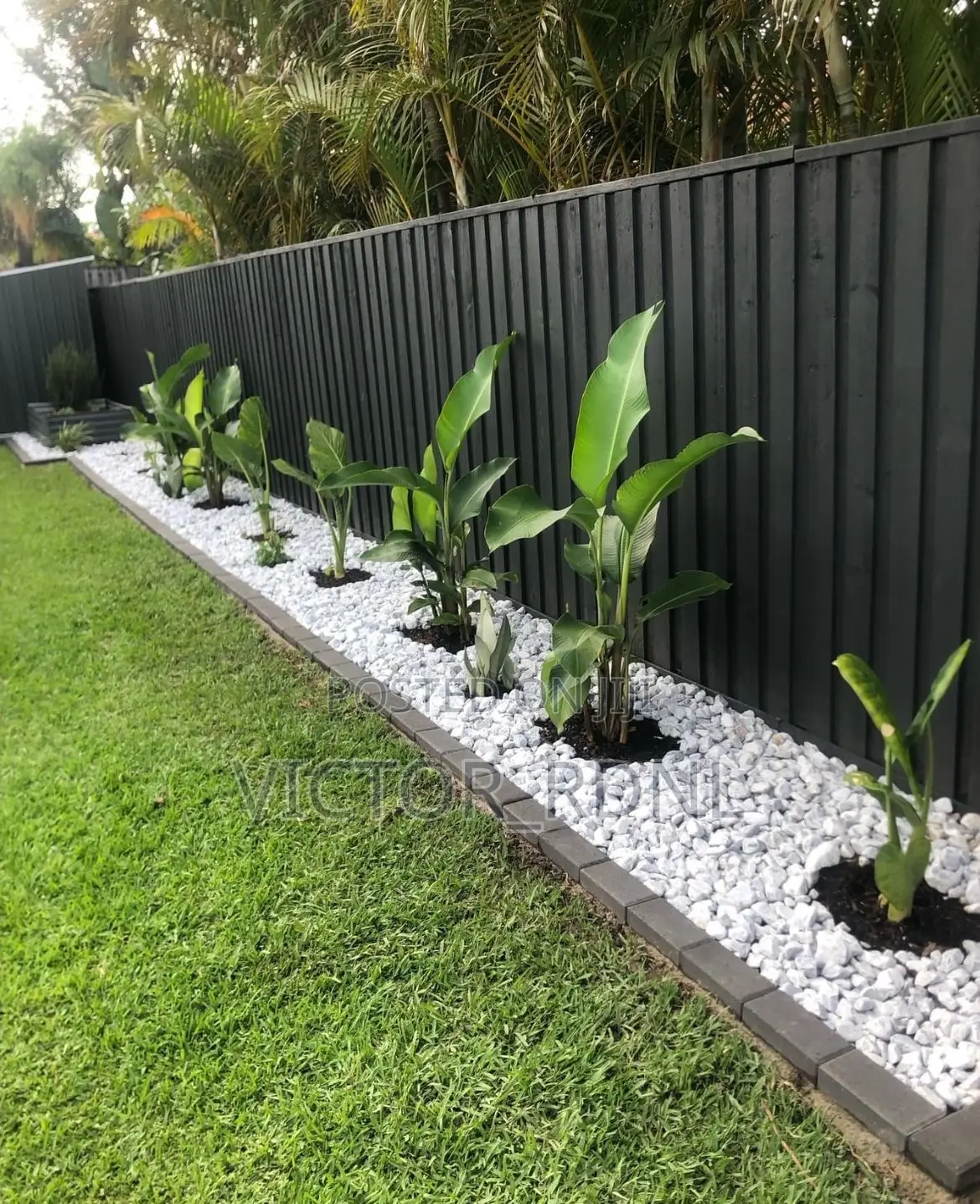 White Stones Bulk