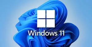 Windows 11 Pro Volume License