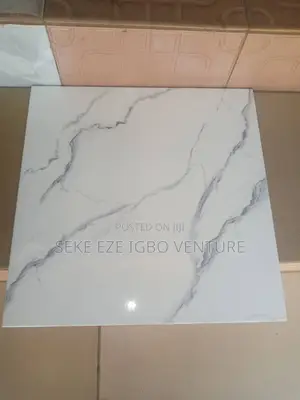 60x60 Super Pulish