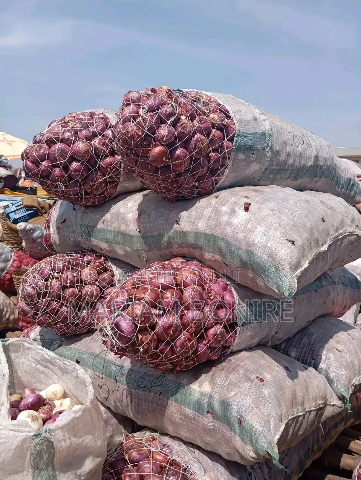 Dried Onions