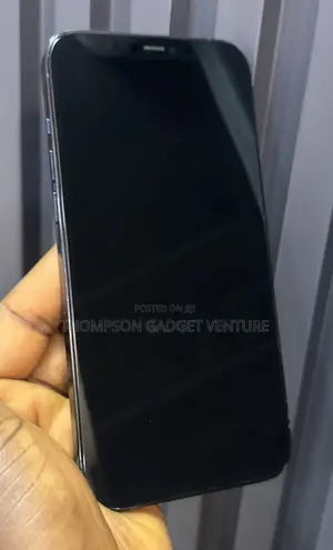 Apple iPhone 12 Pro Max 256 GB Blue