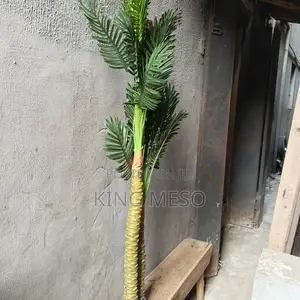 Tree Plant Leaf Available as Seen