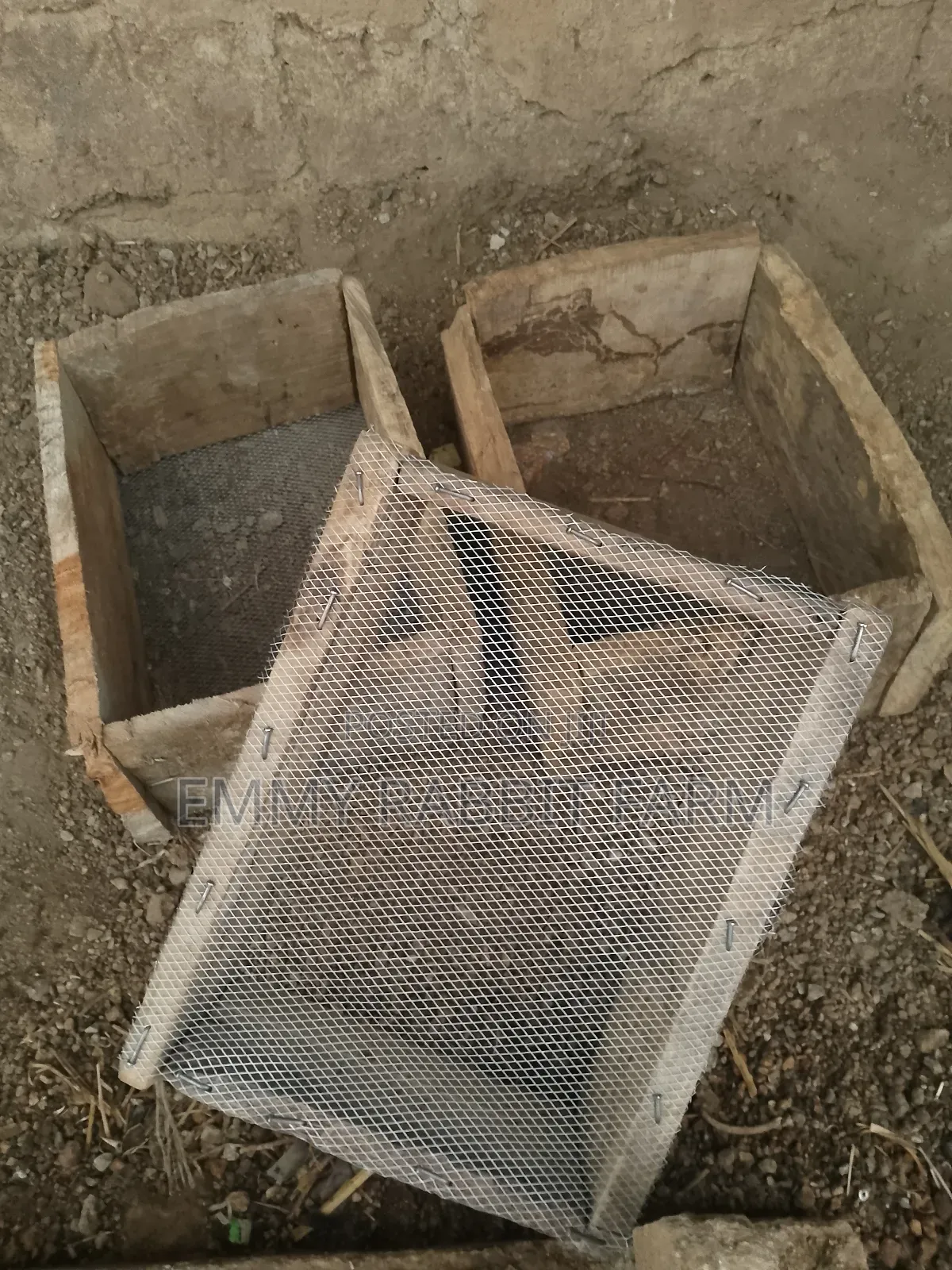 Rabbits Accessories E.G J-Feeders and Nesting Box