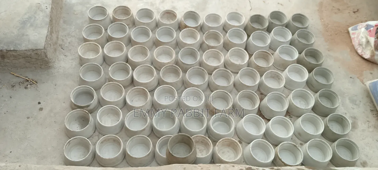 Rabbit/Grasscutter Feeders