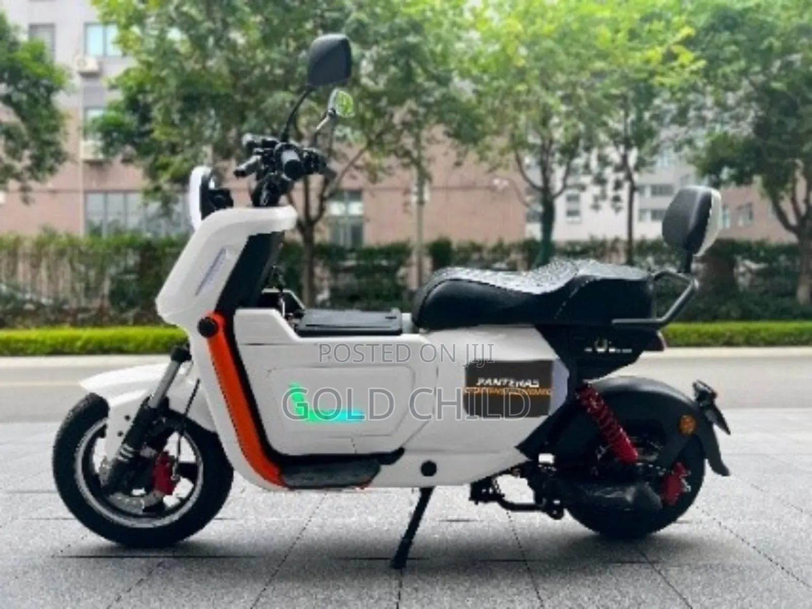New Motorcycle 2025