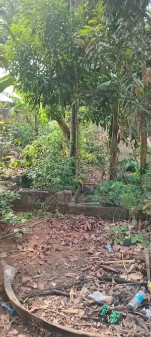 Residential Half Plot in a Well Developed Area Off Agbara Lusada