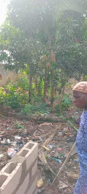 Residential Half Plot in a Well Developed Area Off Agbara Lusada