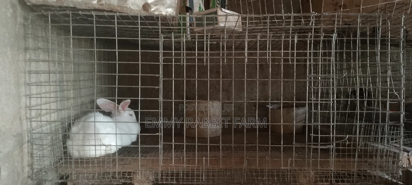 Galvanized Rabbit/Grasscutter Wire Mesh Cage and Accessories