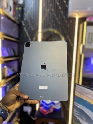Apple iPad Pro 256 GB Gray