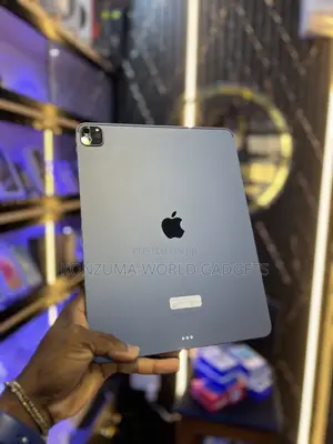 Apple iPad Pro 256 GB Gray