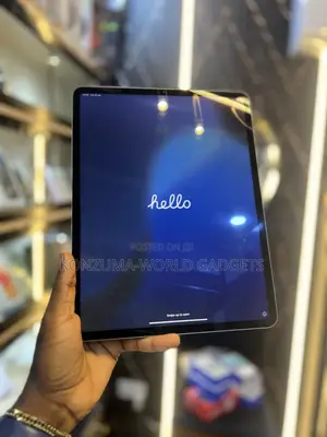 Apple iPad Pro 256 GB Gray