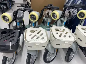 Electric Bikes