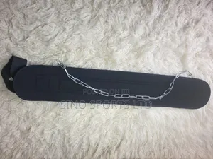 Weight Dip Belt