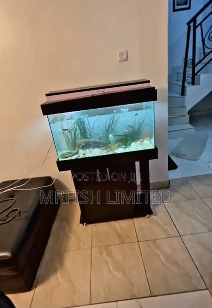 Natural System Aquarium