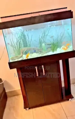 Natural System Aquarium