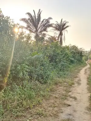 131 Hectares of Land