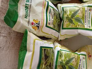 Okra Seeds