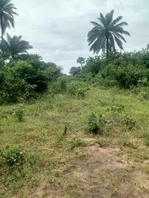 Landed Property