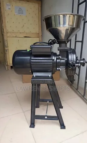 Wet and Dry Grinder