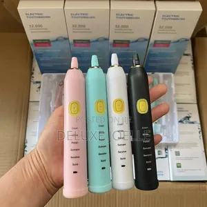 Usb Charging Sonic Electric Toothbrush (With 4 Heads)