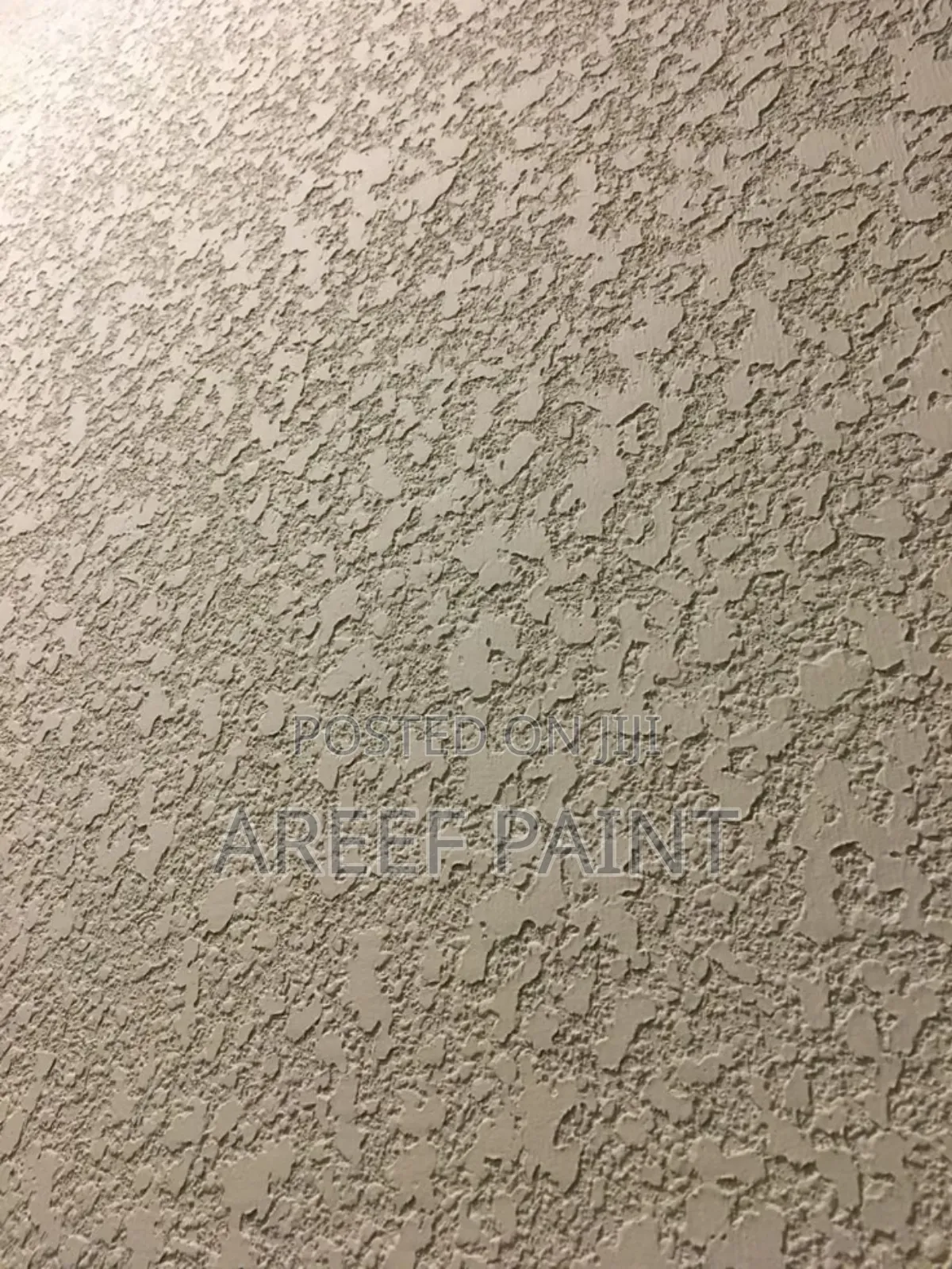 Professional Tyrolean and Polish