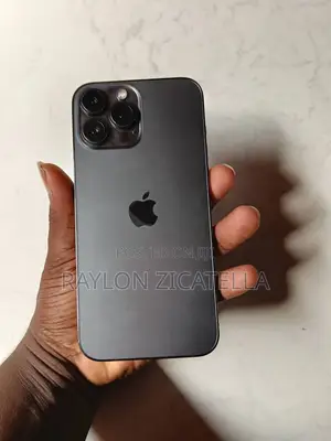 Apple iPhone 13 Pro Max 256 GB Gray