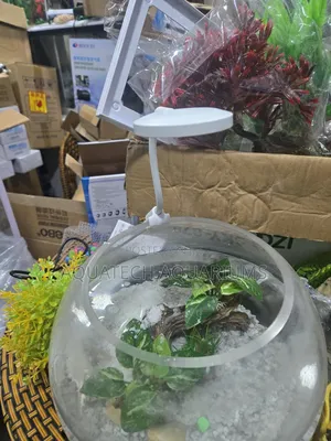 Fish Bowl Light